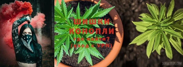 марки lsd Новозыбков